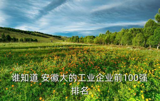 安徽盾安化工集團,盾安民爆化工集團