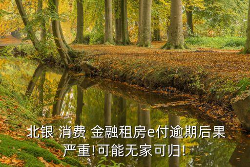  北銀 消費(fèi) 金融租房e付逾期后果嚴(yán)重!可能無(wú)家可歸!