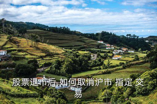 網(wǎng)上撤銷(xiāo)上海指定交易,撤銷(xiāo)指定交易必須去柜臺(tái)嗎