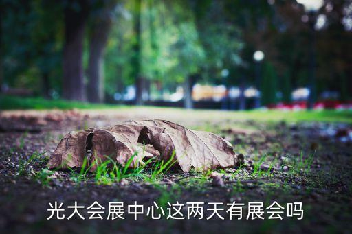 中國(guó)上海國(guó)際婚紗攝影器材展覽會(huì),上?；榧啍z影器材展2023時(shí)間