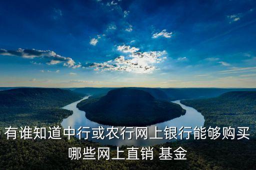 有誰知道中行或農(nóng)行網(wǎng)上銀行能夠購買哪些網(wǎng)上直銷 基金