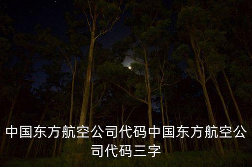 中國(guó)東方航空公司代碼中國(guó)東方航空公司代碼三字