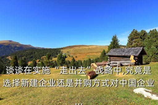 談?wù)勗趯?shí)施“走出去”戰(zhàn)略中,究竟是選擇新建企業(yè)還是并購(gòu)方式對(duì)中國(guó)企業(yè)...
