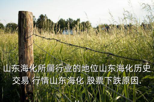 山東?；鶎傩袠I(yè)的地位山東?；瘹v史交易 行情山東?；?股票下跌原因...