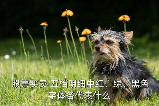  股票買(mǎi)賣(mài) 五檔明細(xì)中紅、綠、黑色字體各代表什么