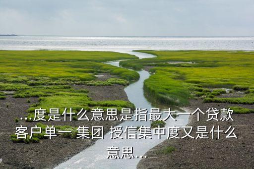 ...度是什么意思是指最大一個貸款客戶單一 集團(tuán) 授信集中度又是什么意思...