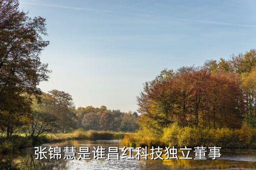 張錦慧是誰昌紅科技獨立董事