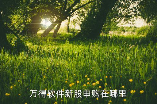 萬得軟件新股申購(gòu)在哪里