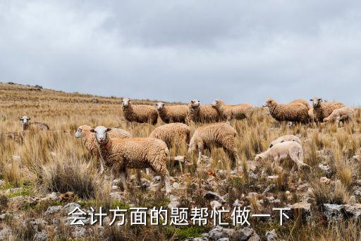 會計(jì)方面的題幫忙做一下