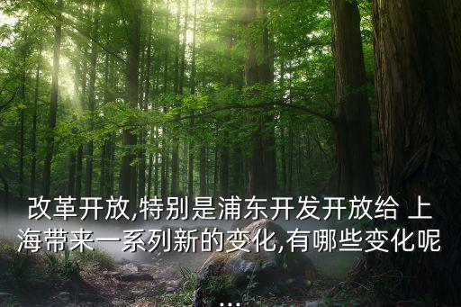 上?，F(xiàn)代服務(wù)業(yè)發(fā)展