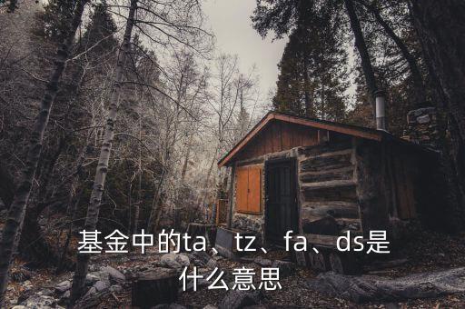  基金中的ta、tz、fa、ds是什么意思