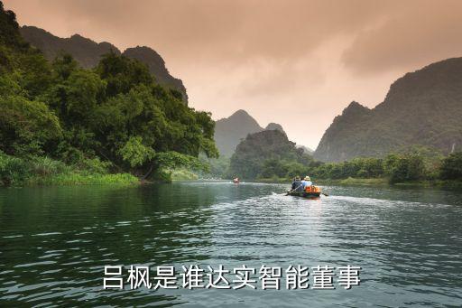 呂楓是誰達(dá)實智能董事