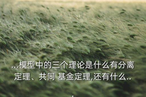 ...模型中的三個理論是什么有分離定理、共同 基金定理,還有什么...