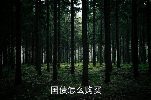  國(guó)債怎么購(gòu)買