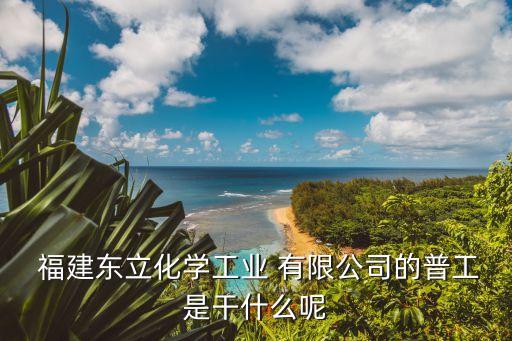  福建東立化學工業(yè) 有限公司的普工是干什么呢