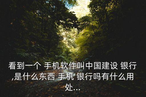 看到一個 手機軟件叫中國建設 銀行,是什么東西 手機 銀行嗎有什么用處...
