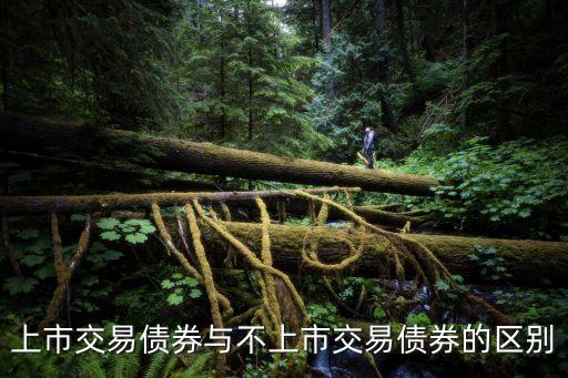 上市交易債券與不上市交易債券的區(qū)別