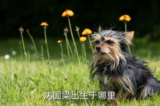 2014中國廣告主峰會(huì),第九屆中國廣告主峰會(huì)