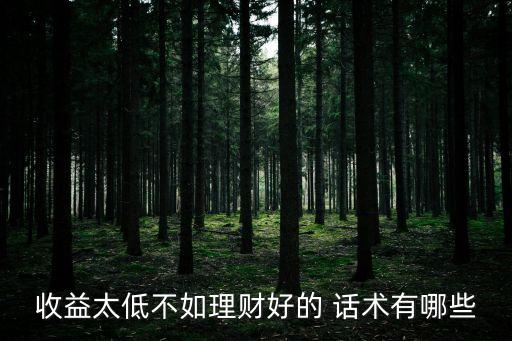 收益太低不如理財(cái)好的 話(huà)術(shù)有哪些