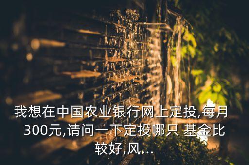 我想在中國(guó)農(nóng)業(yè)銀行網(wǎng)上定投,每月 300元,請(qǐng)問(wèn)一下定投哪只 基金比較好,風(fēng)...
