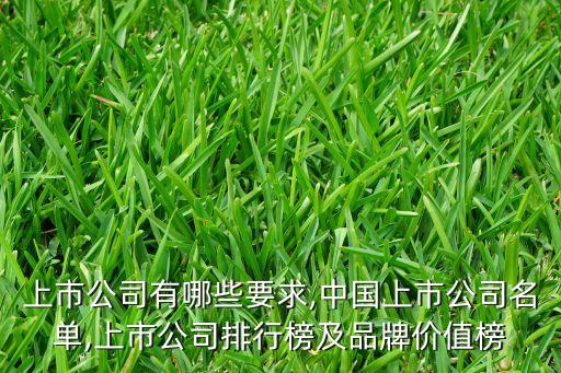 上市公司有哪些要求,中國上市公司名單,上市公司排行榜及品牌價值榜