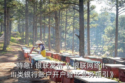 特急! 銀聯(lián)發(fā)布《 銀聯(lián)網(wǎng)絡(luò)II、III類銀行賬戶開(kāi)戶驗(yàn)證業(yè)務(wù)指引》