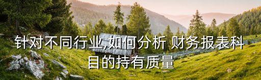 聯(lián)想集團財務比率