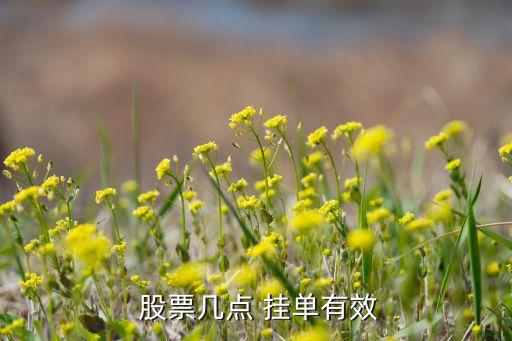 股票開市前多久可以掛單