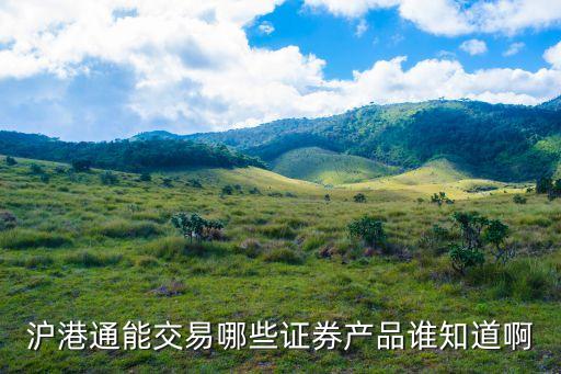 滬港通能交易哪些證券產品誰知道啊