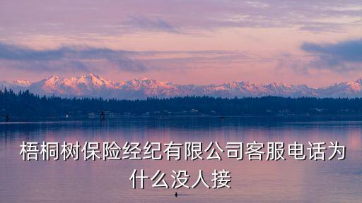  梧桐樹(shù)保險(xiǎn)經(jīng)紀(jì)有限公司客服電話(huà)為什么沒(méi)人接