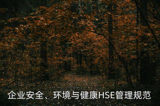 企業(yè)安全、環(huán)境與健康HSE管理規(guī)范