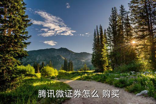 如何購買騰訊股票,2004年騰訊股票可以在國內購買嘛