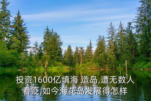 投資1600億填海 造島,遭無數(shù)人看貶,如今?；◢u發(fā)展得怎樣