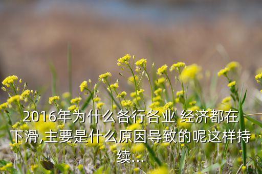 2015中國經濟消退原因
