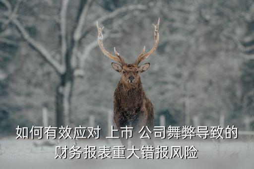 如何有效應(yīng)對 上市 公司舞弊導(dǎo)致的財(cái)務(wù)報表重大錯報風(fēng)險