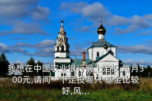 我想在中國農(nóng)業(yè)銀行網(wǎng)上定投,每月300元,請(qǐng)問一下定投哪只 基金比較好,風(fēng)...