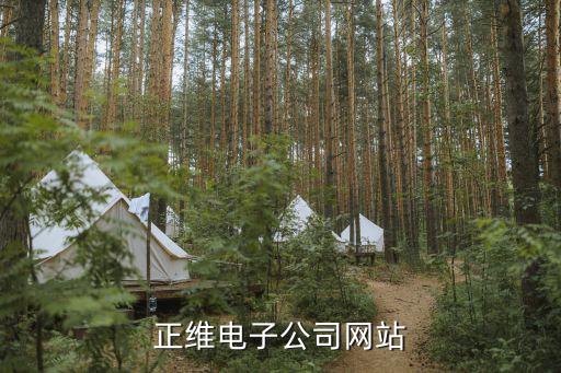 武漢正維電子公司網站