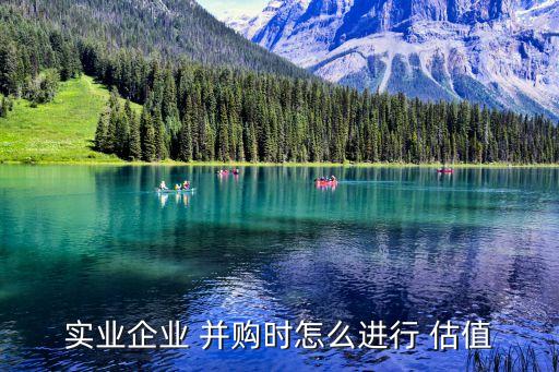 實業(yè)企業(yè) 并購時怎么進(jìn)行 估值
