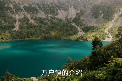  萬(wàn)戶鎮(zhèn)的介紹