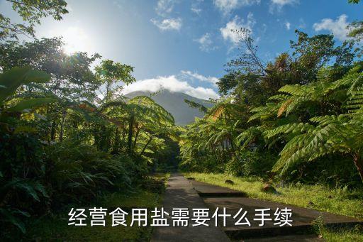 公司可以生產食鹽嗎,中國生產食鹽有哪些公司
