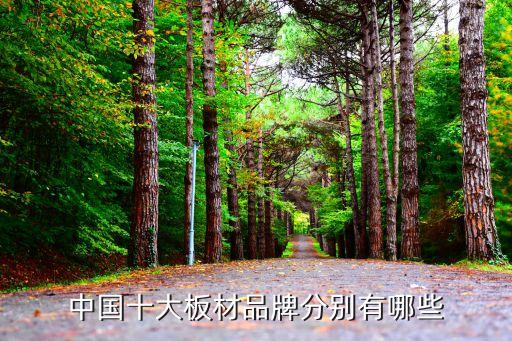 中國(guó)十大板材品牌分別有哪些