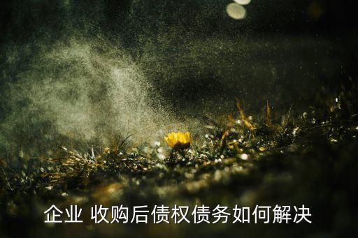 企業(yè) 收購(gòu)后債權(quán)債務(wù)如何解決