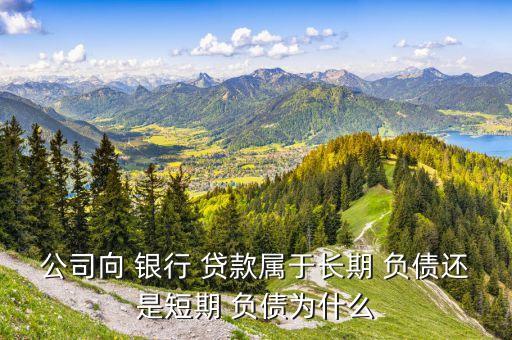 公司向 銀行 貸款屬于長期 負債還是短期 負債為什么