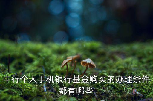 中行個(gè)人手機(jī)銀行基金購(gòu)買(mǎi)的辦理?xiàng)l件都有哪些