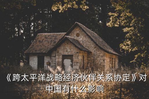《跨太平洋戰(zhàn)略經(jīng)濟(jì)伙伴關(guān)系協(xié)定》對(duì)中國有什么影響