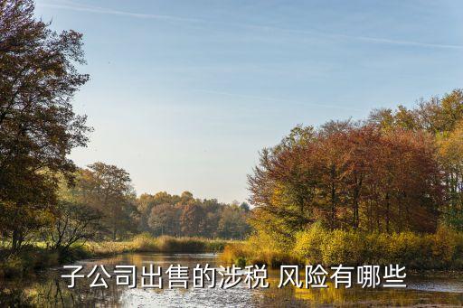  子公司出售的涉稅 風(fēng)險有哪些