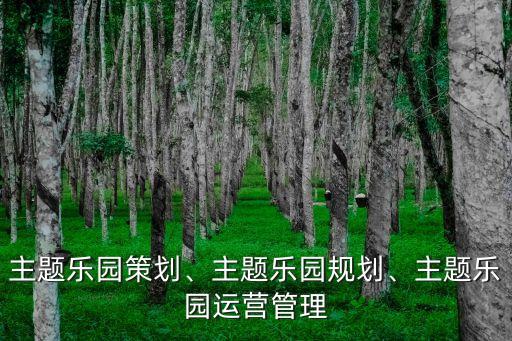 主題樂園策劃、主題樂園規(guī)劃、主題樂園運(yùn)營管理