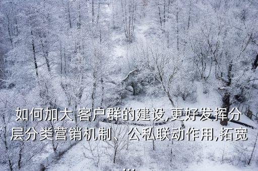 如何加大 客戶群的建設(shè),更好發(fā)揮分層分類營銷機(jī)制、公私聯(lián)動作用,拓寬...