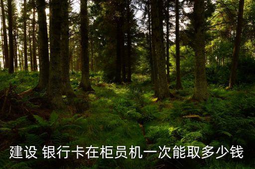 銀行柜臺(tái)最多取多少錢(qián)
