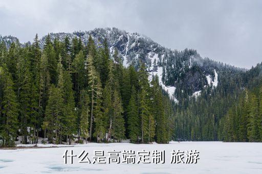 2014中國(guó)奢華旅游白皮書(shū)
